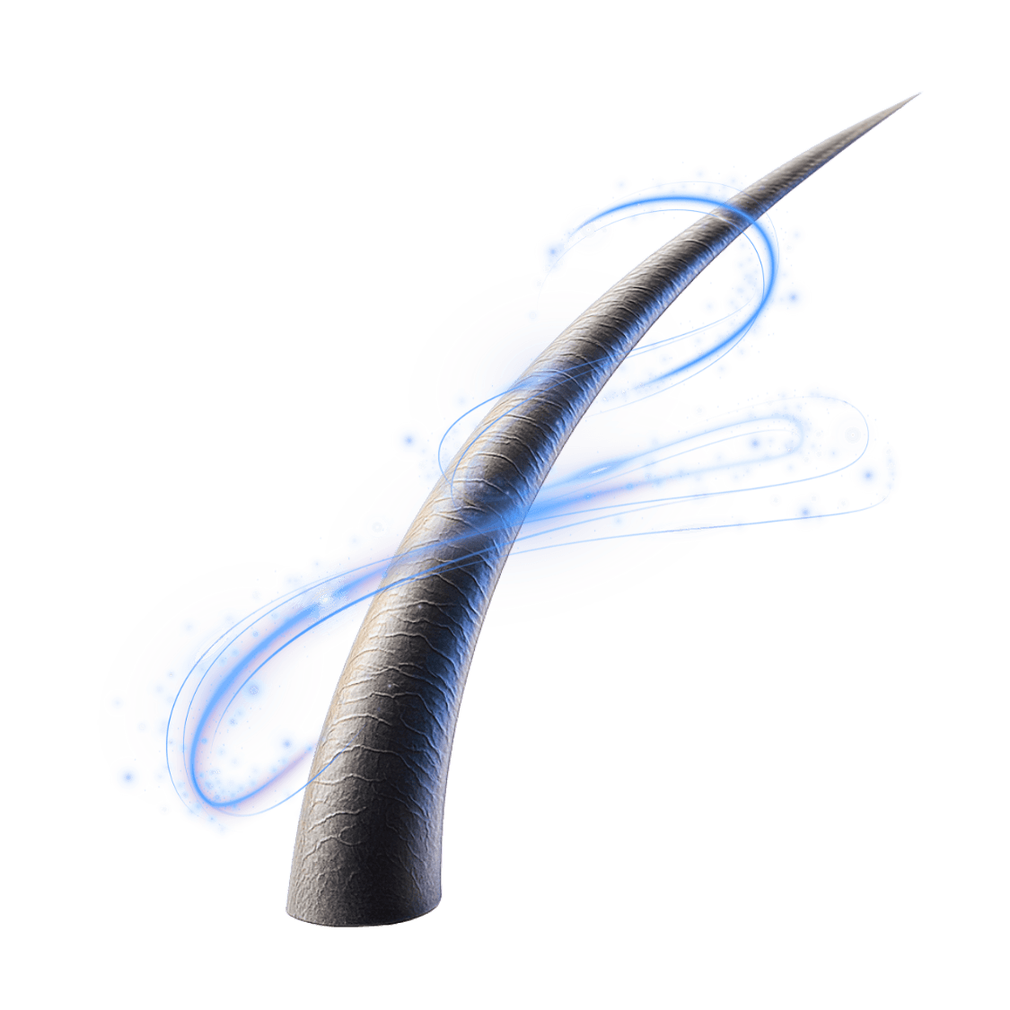 Rendu 3D d'une fibre capillaire analysée par Capilyos